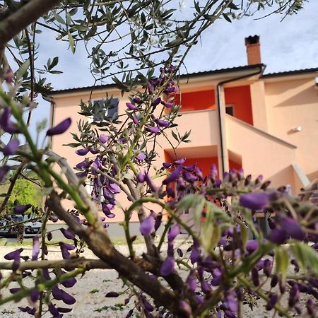 Apartman Tramonto Motovun Exterior foto