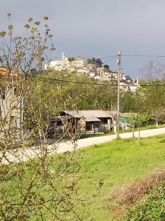 Apartman Tramonto Motovun Exterior foto